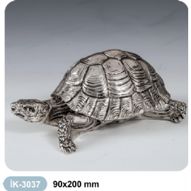 3037
