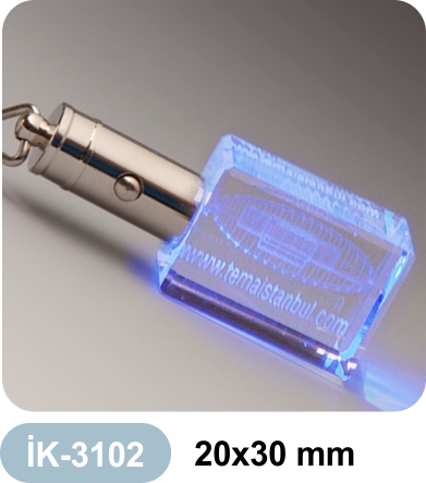 3102