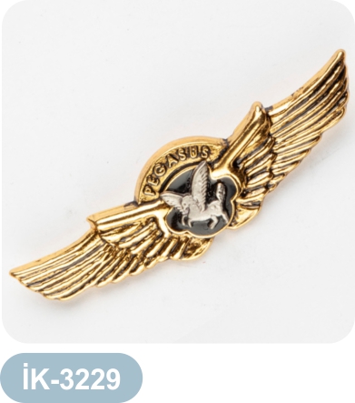 3229